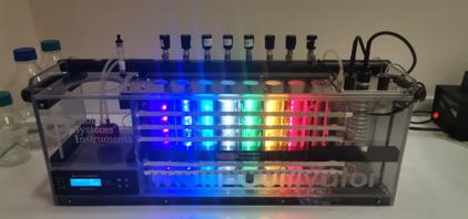 Molecular Characterization